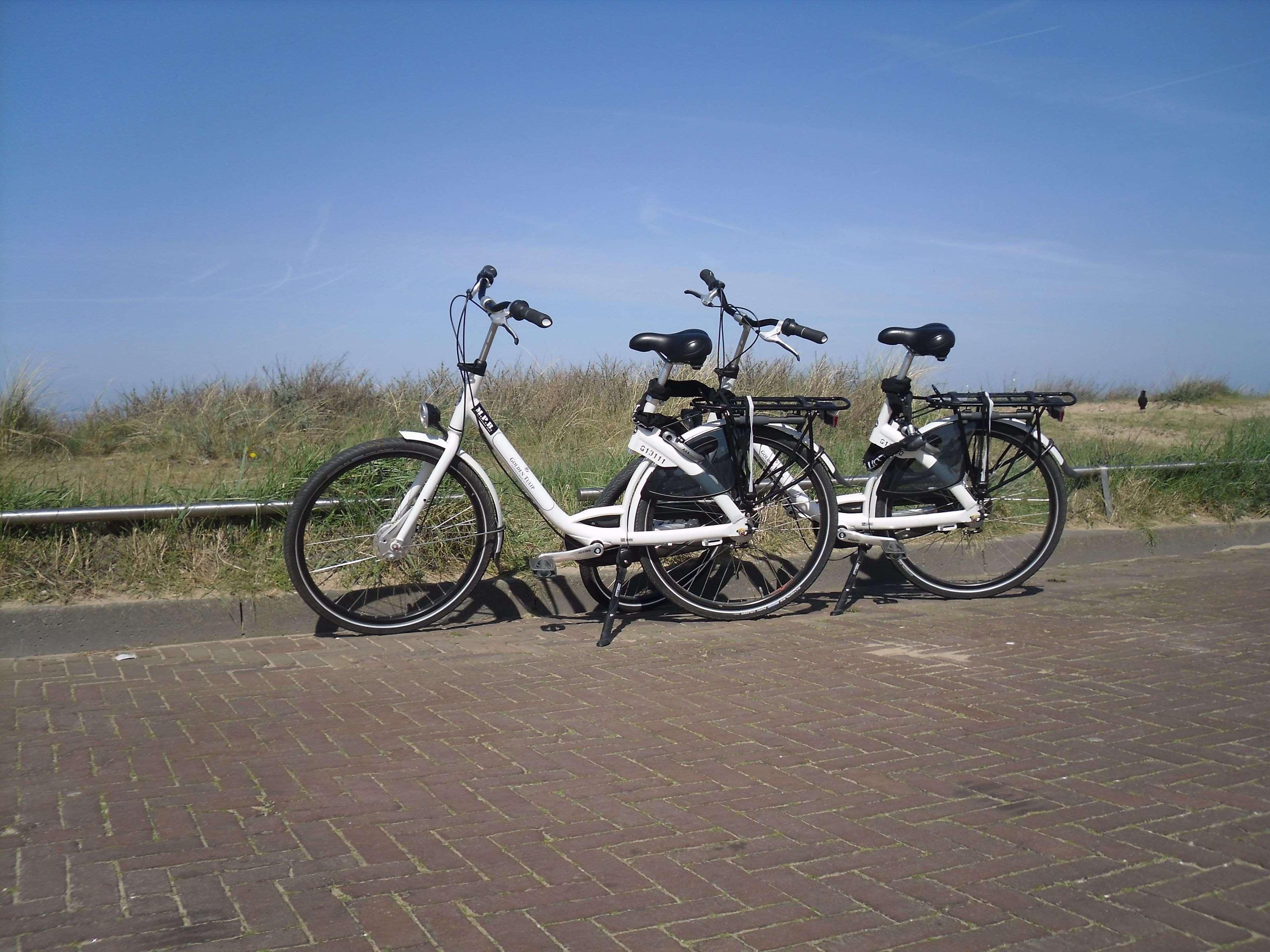 Two Brothers Noordwijk Beach Exterior photo